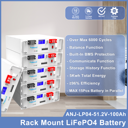 Aninerel 51.2V 100Ah Rack-mounted LiFePO4 Battery 6000+ Cycles Built in BMS 5KWH Support Parallel for Solar System