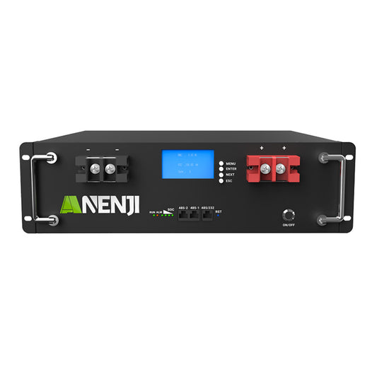 Anenjisolar51.2V 100Ah Rack-mounted LiFePO4 Battery 6000+ Cycles Built in BMS 5KWH Support Parallel for Solar System