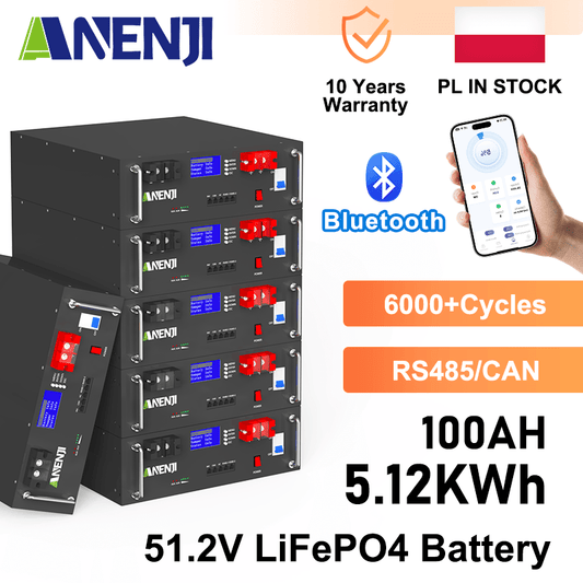 Anenji 51.2V 100Ah Rack - mounted LiFePO4 Battery 6000+ Cycles Built in BMS 5KWH Support Parallel for Solar System - ANENJISOLAR