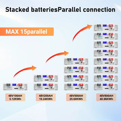 Aninerel - 51.2V 100Ah Rack - mounted LiFePO4 Battery 6000+ Cycles Built in BMS 5KWH Support Parallel for Solar System - ANENJISOLAR